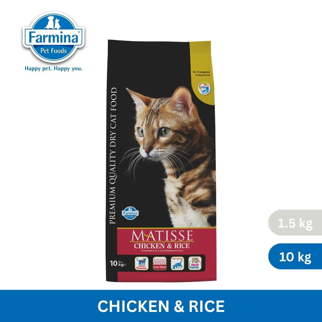 Matisse Chicken & Rice