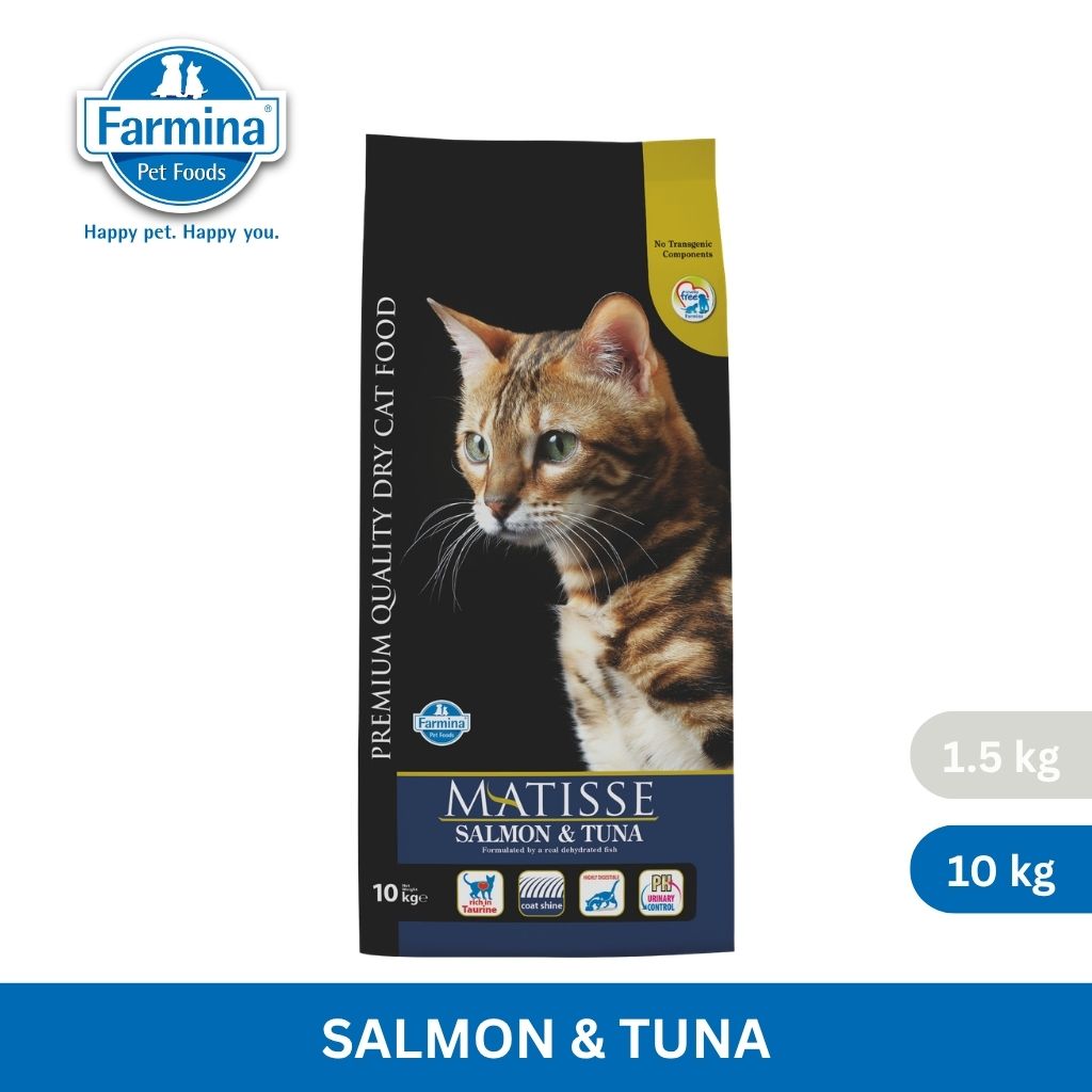 Matisse Salmon & Tuna