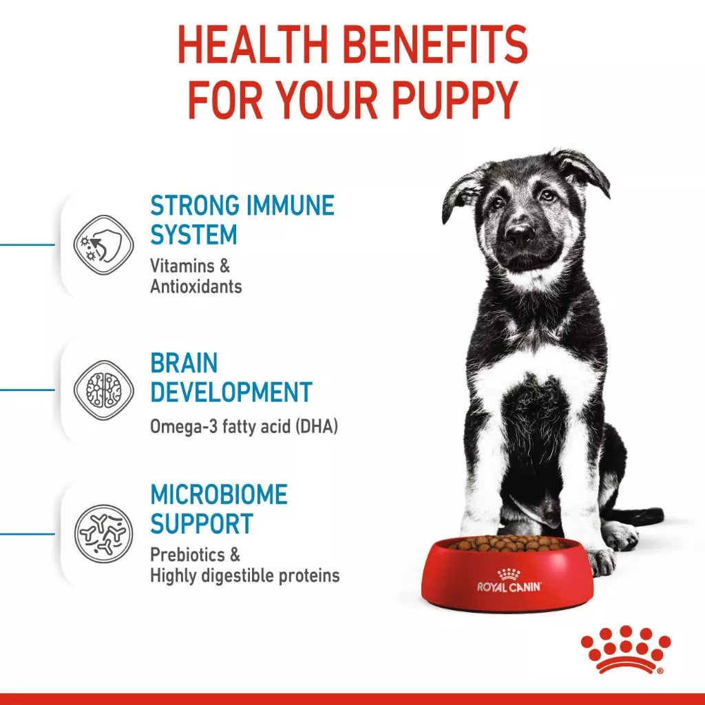 Royal Canin MAXI PUPPY