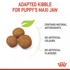 Royal Canin MAXI PUPPY