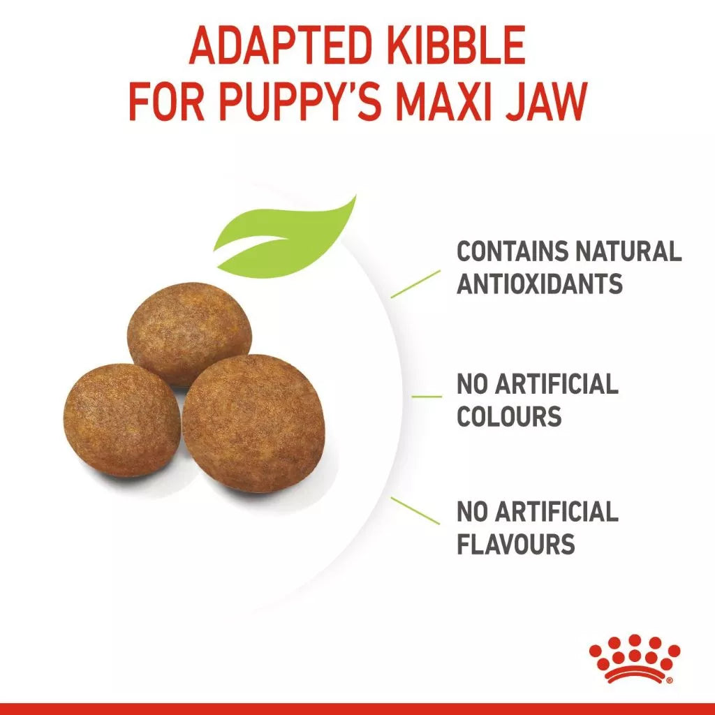 Royal Canin MAXI PUPPY
