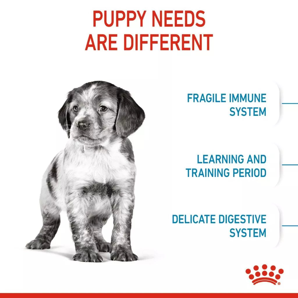 Royal Canin MEDIUM PUPPY