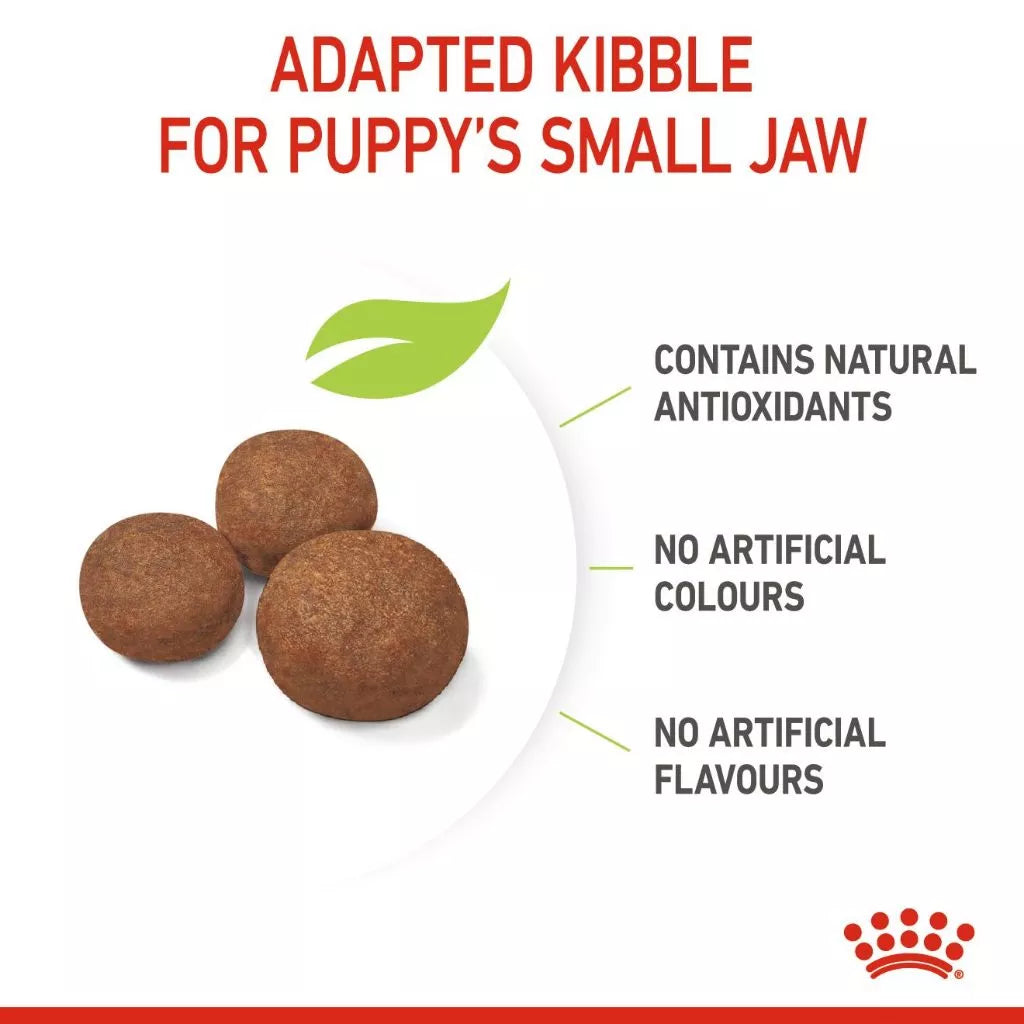 Royal Canin MEDIUM PUPPY