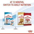 Royal Canin MEDIUM PUPPY