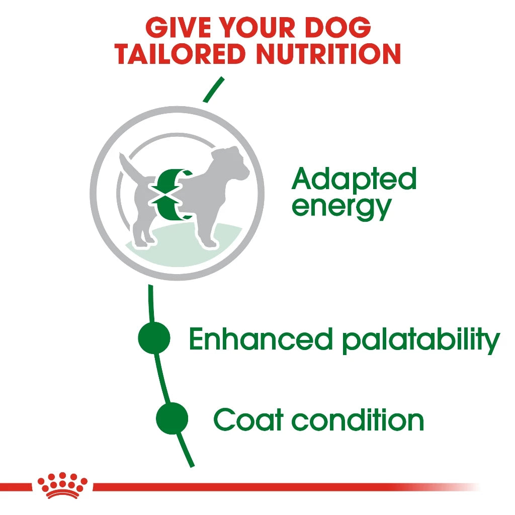 Royal Canin MINI ADULT
