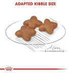 Royal Canin MINI ADULT