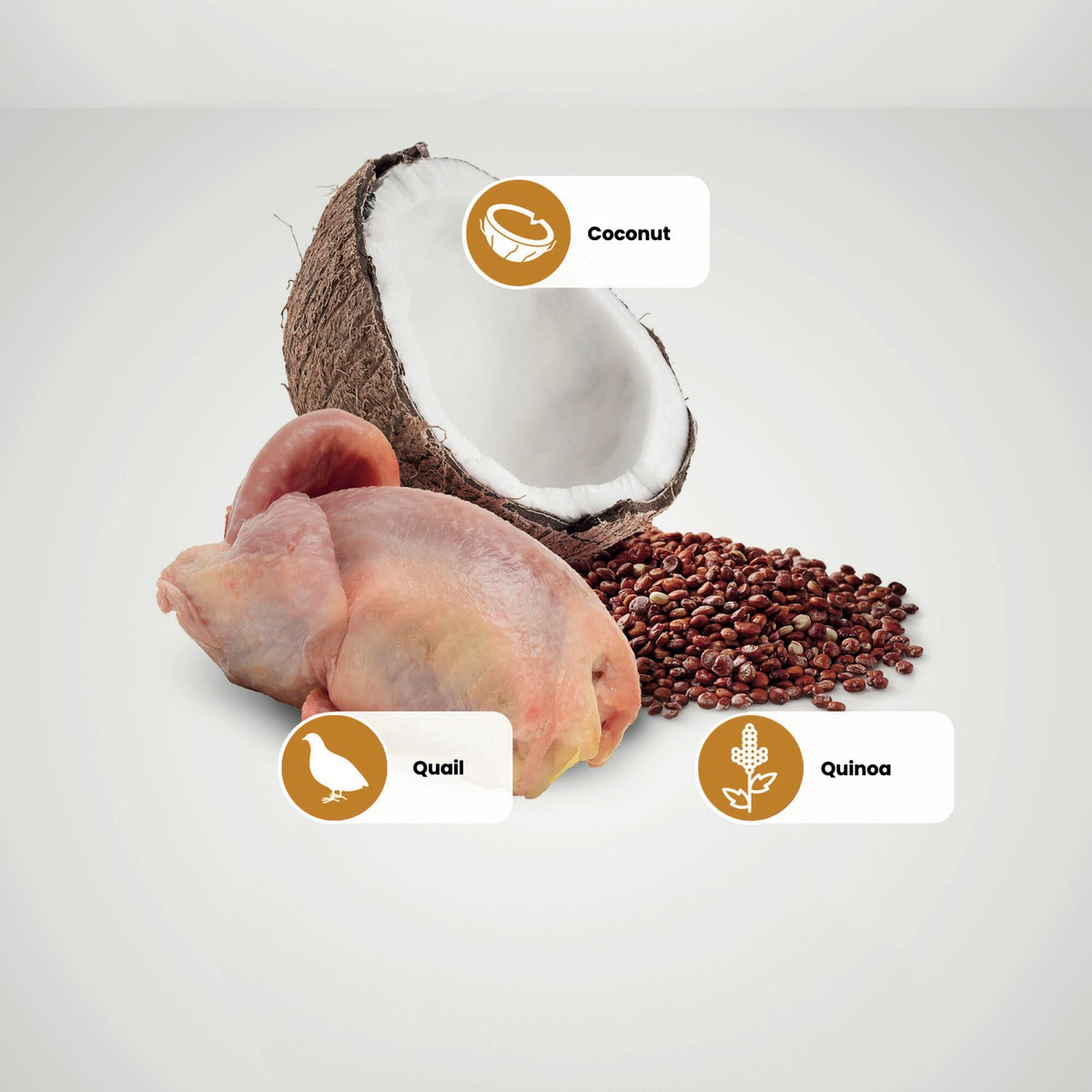 N&D Quinoa Skin & Coat Quail & Coconut Cat Wet Food 80g