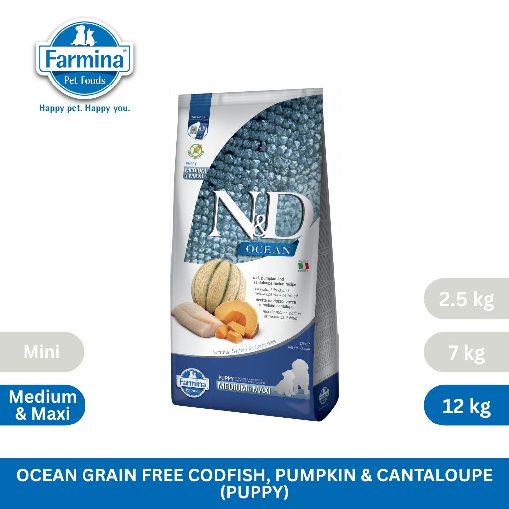 N&D Ocean Cod, Pumpkin and Cantaloupe Melon Puppy Med/Maxi 12kg