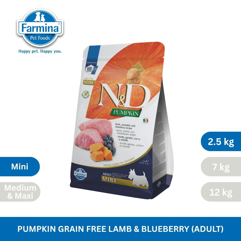 N&D Pumpkin Lamb & Blueberry Adult Mini Dog 2.5kg