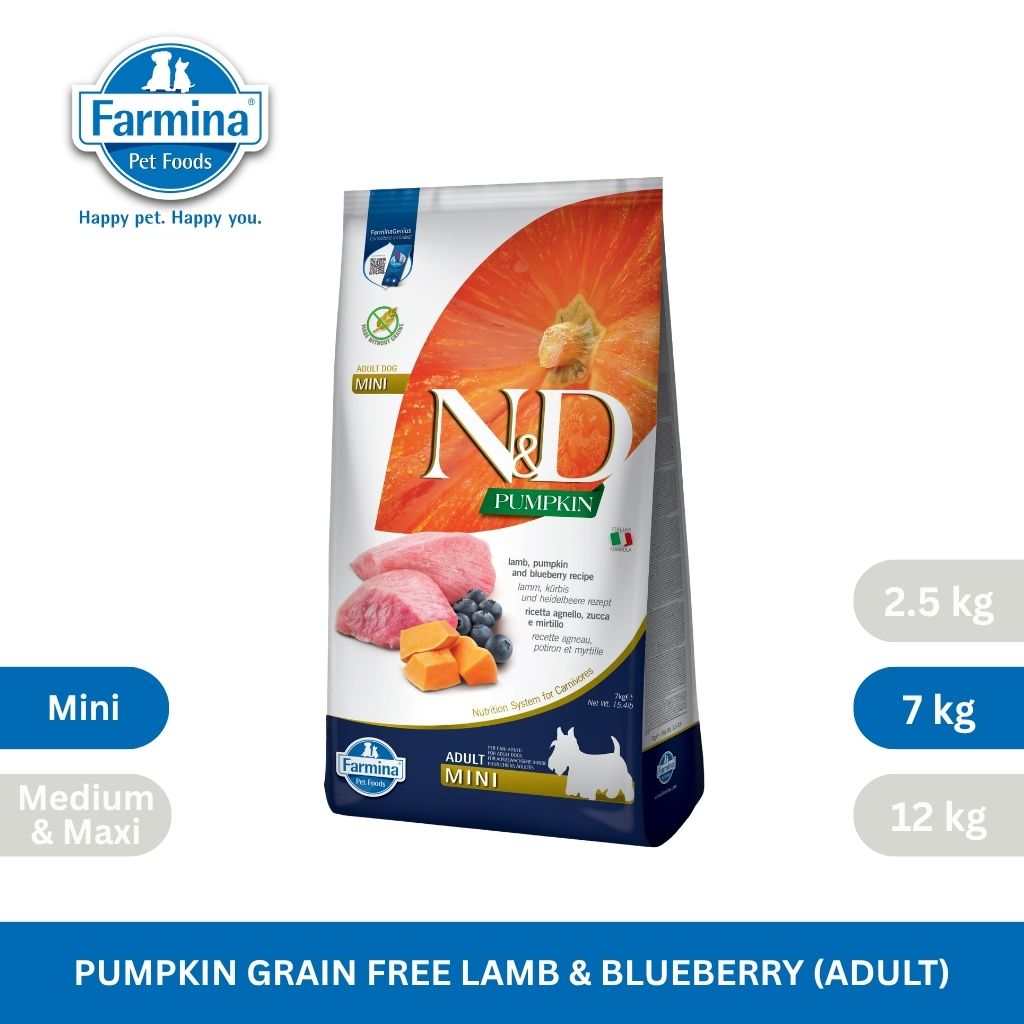 N&D Pumpkin Lamb & Blueberry Adult Mini Dog 2.5kg