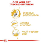 Royal Canin BENGAL ADULT