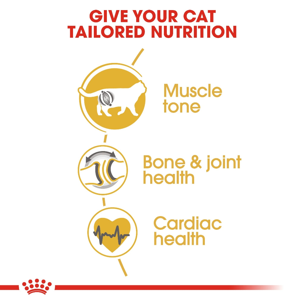 Royal Canin BRITISH SHORT HAIR ADULT