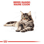 Royal Canin MAINECOON ADULT