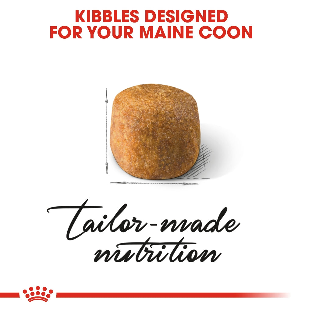 Royal Canin MAINECOON ADULT