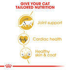 Royal Canin MAINECOON ADULT