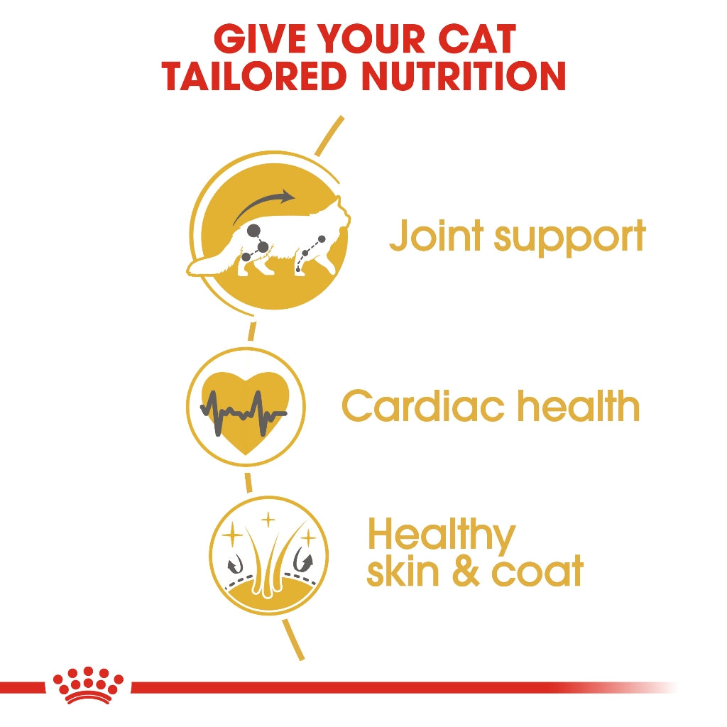 Royal Canin MAINECOON ADULT