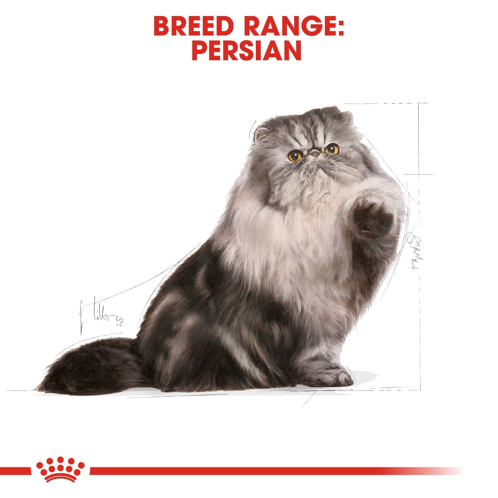 Royal Canin PERSIAN ADULT