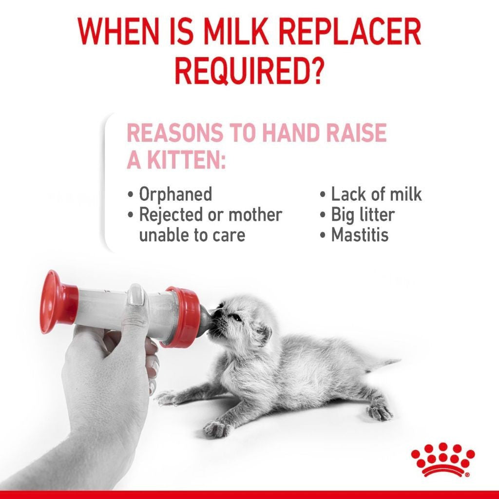 Royal Canin BABYCAT MILK 0.3KG