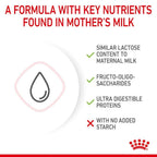 Royal Canin BABYCAT MILK 0.3KG