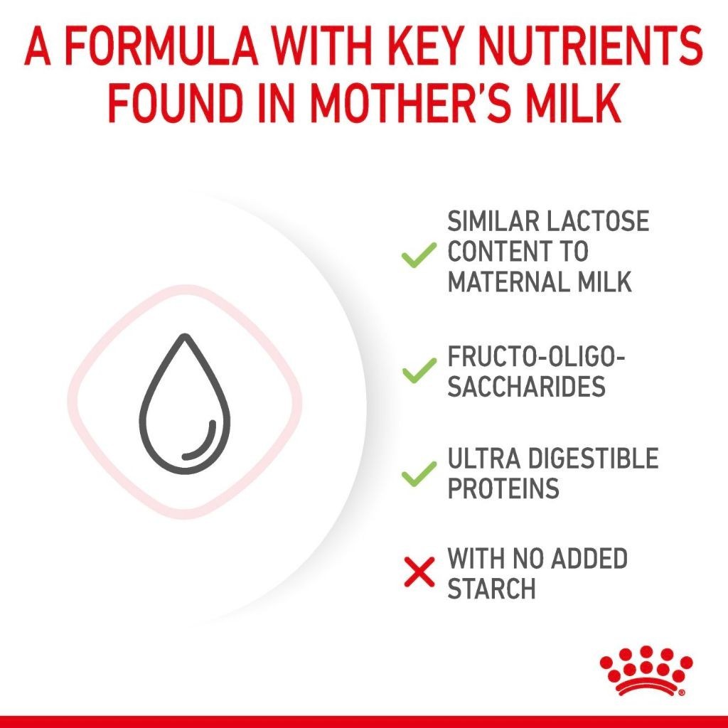 Royal Canin BABYCAT MILK 0.3KG