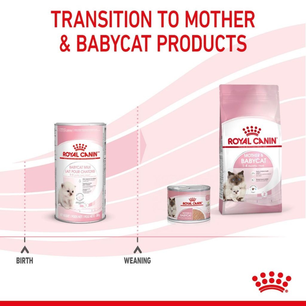 Royal Canin BABYCAT MILK 0.3KG
