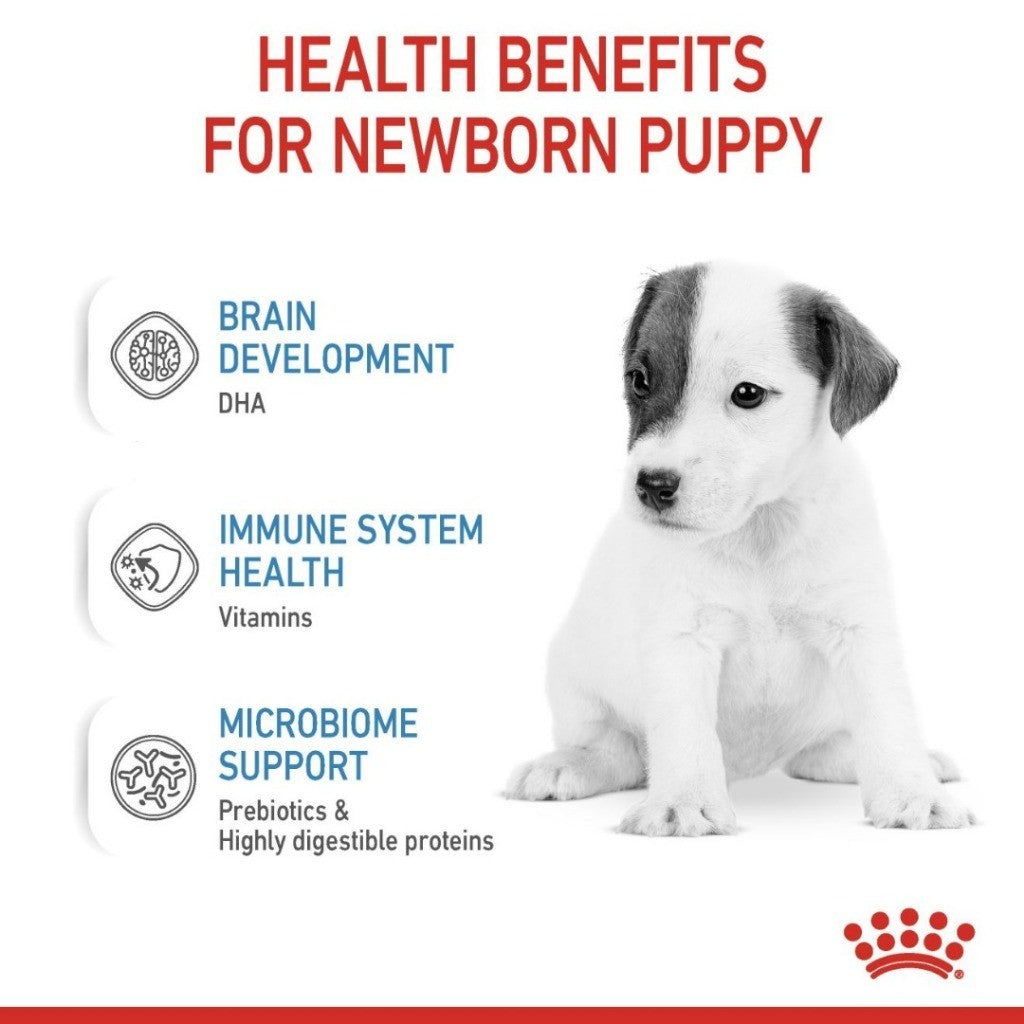 Royal Canin BABYDOG MILK 0.4KG