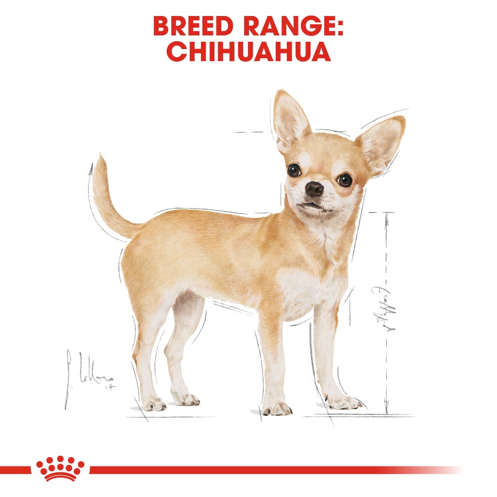 Royal Canin CHIHUAHUA ADULT 1.5KG