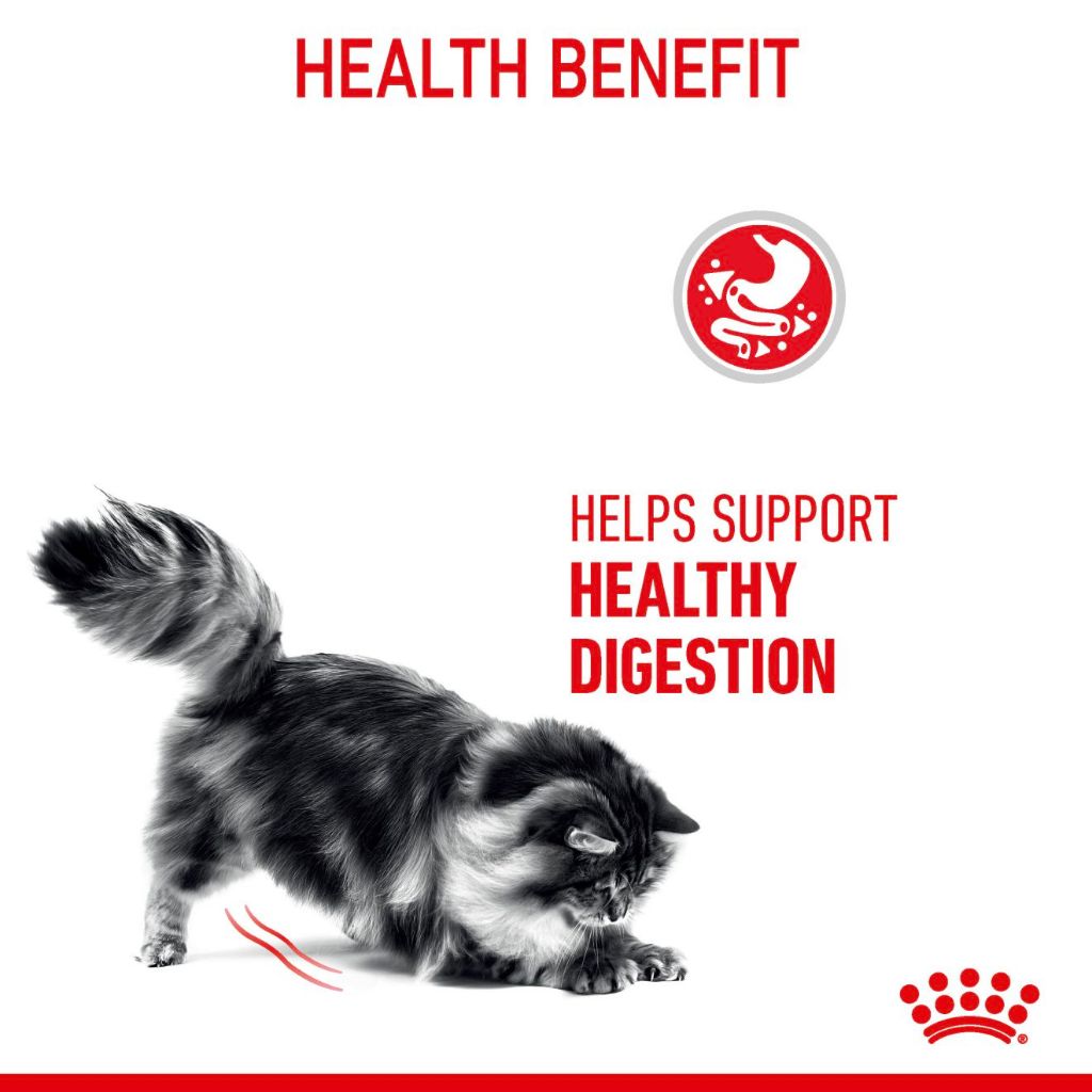 Royal Canin DIGESTIVE CARE