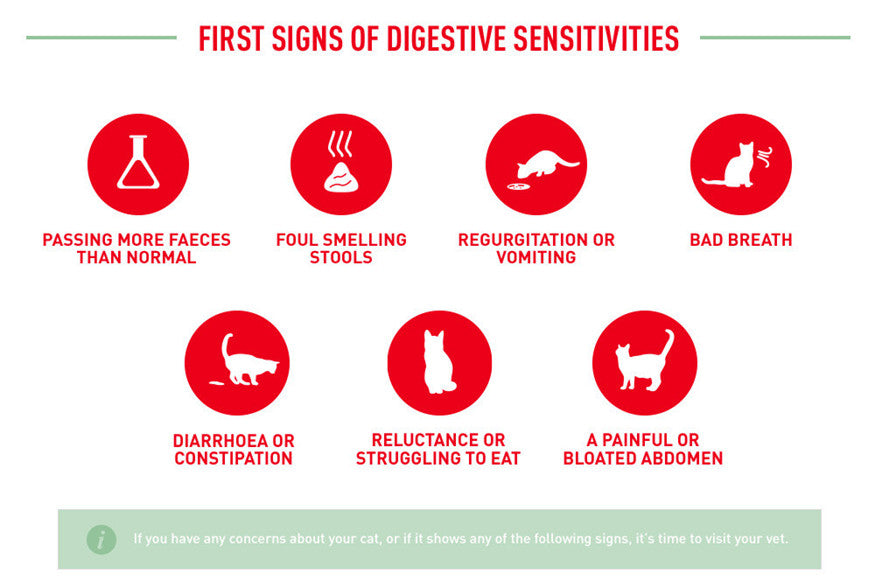 Royal Canin DIGESTIVE CARE