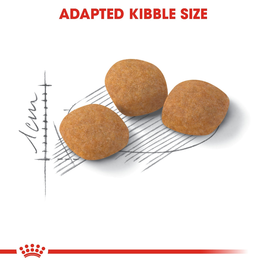 Royal Canin EXIGENT 42 PROTEIN 4KG