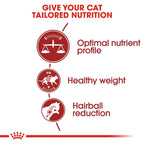 Royal Canin FIT 32