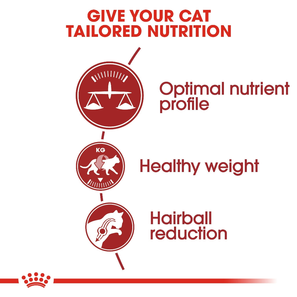 Royal Canin FIT 32