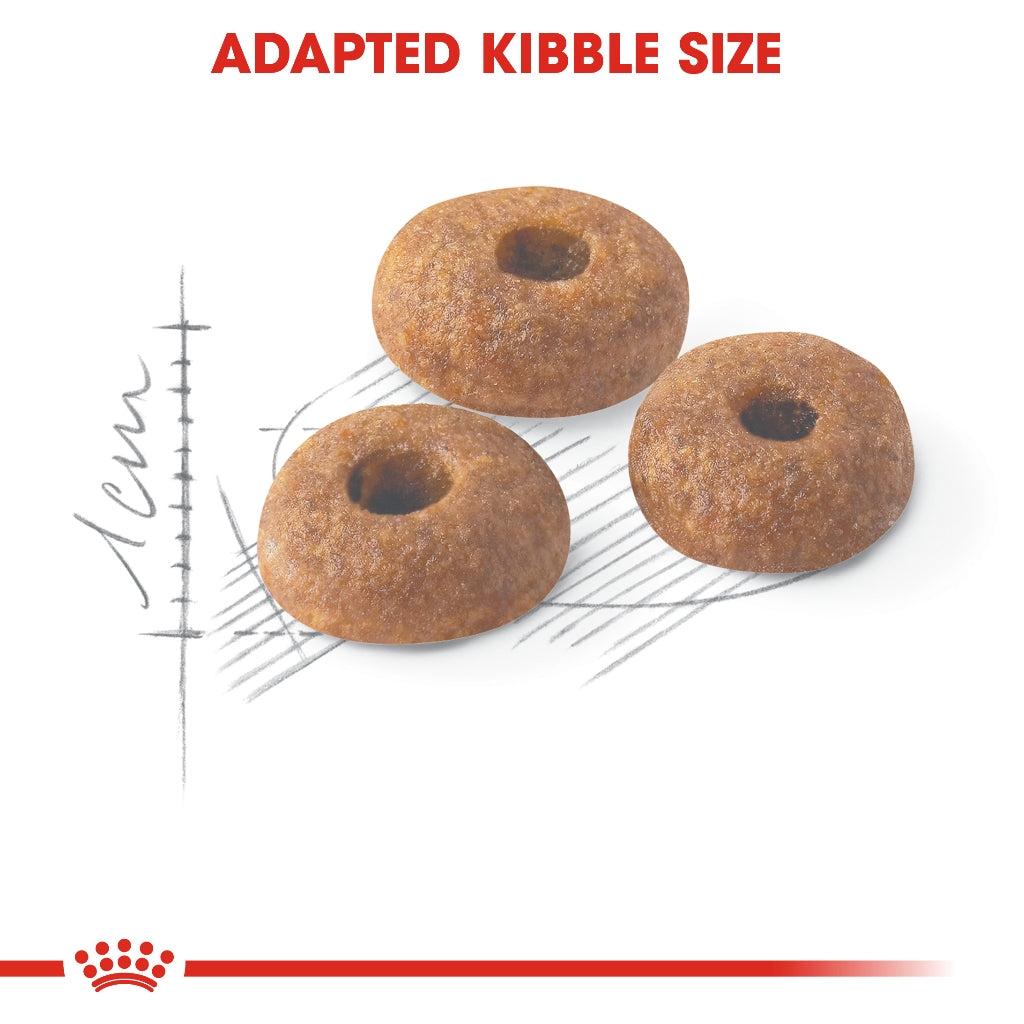 Royal Canin FIT 32