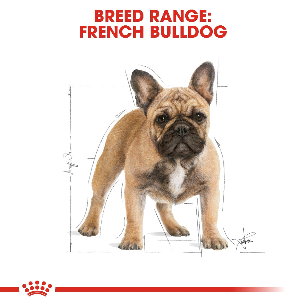 Royal Canin FRENCH BULLDOG 3KG