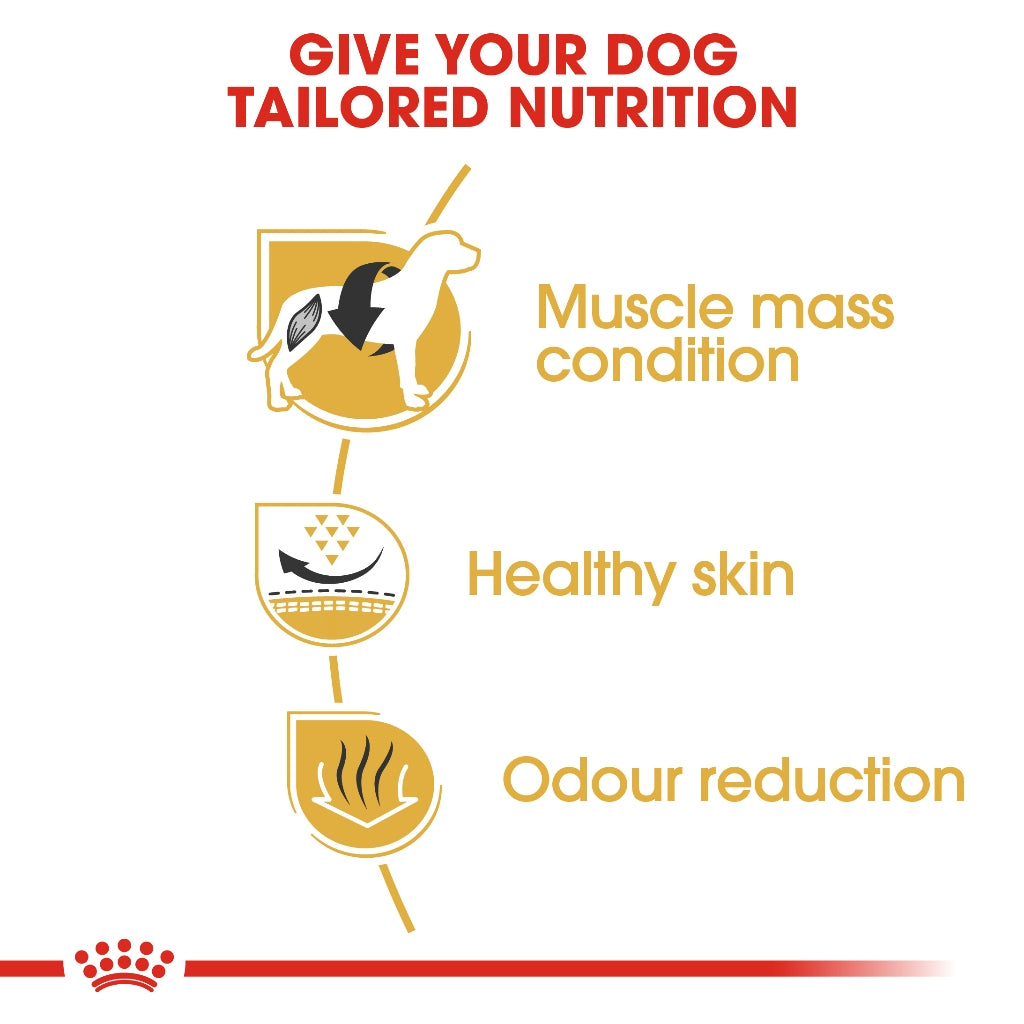 Royal Canin FRENCH BULLDOG 3KG