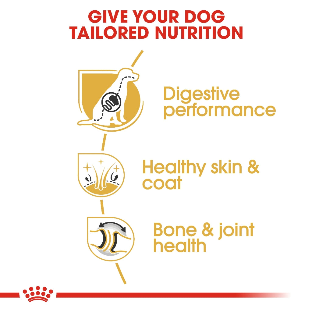 Royal Canin GERMAN SHEPHERD ADULT 11KG