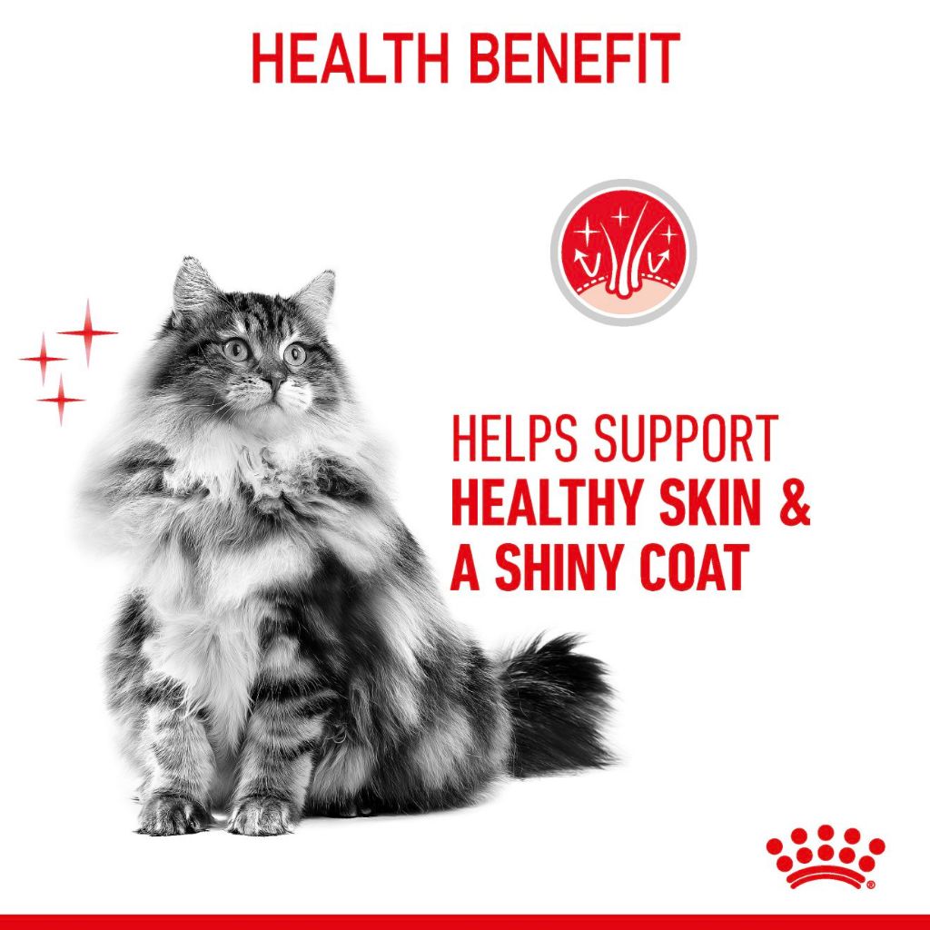 Royal Canin HAIR & SKIN CARE