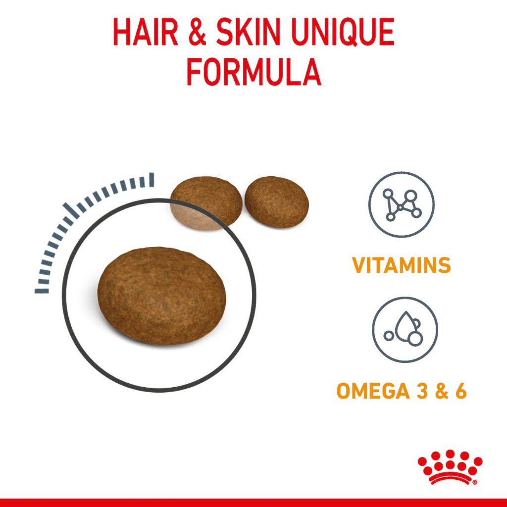 Royal Canin HAIR & SKIN CARE