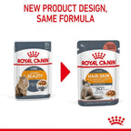 Royal Canin WET HAIR & SKIN POUCH 85G
