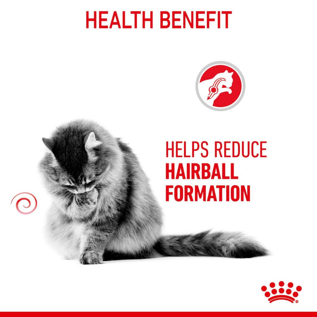 Royal Canin HAIRBALL CARE