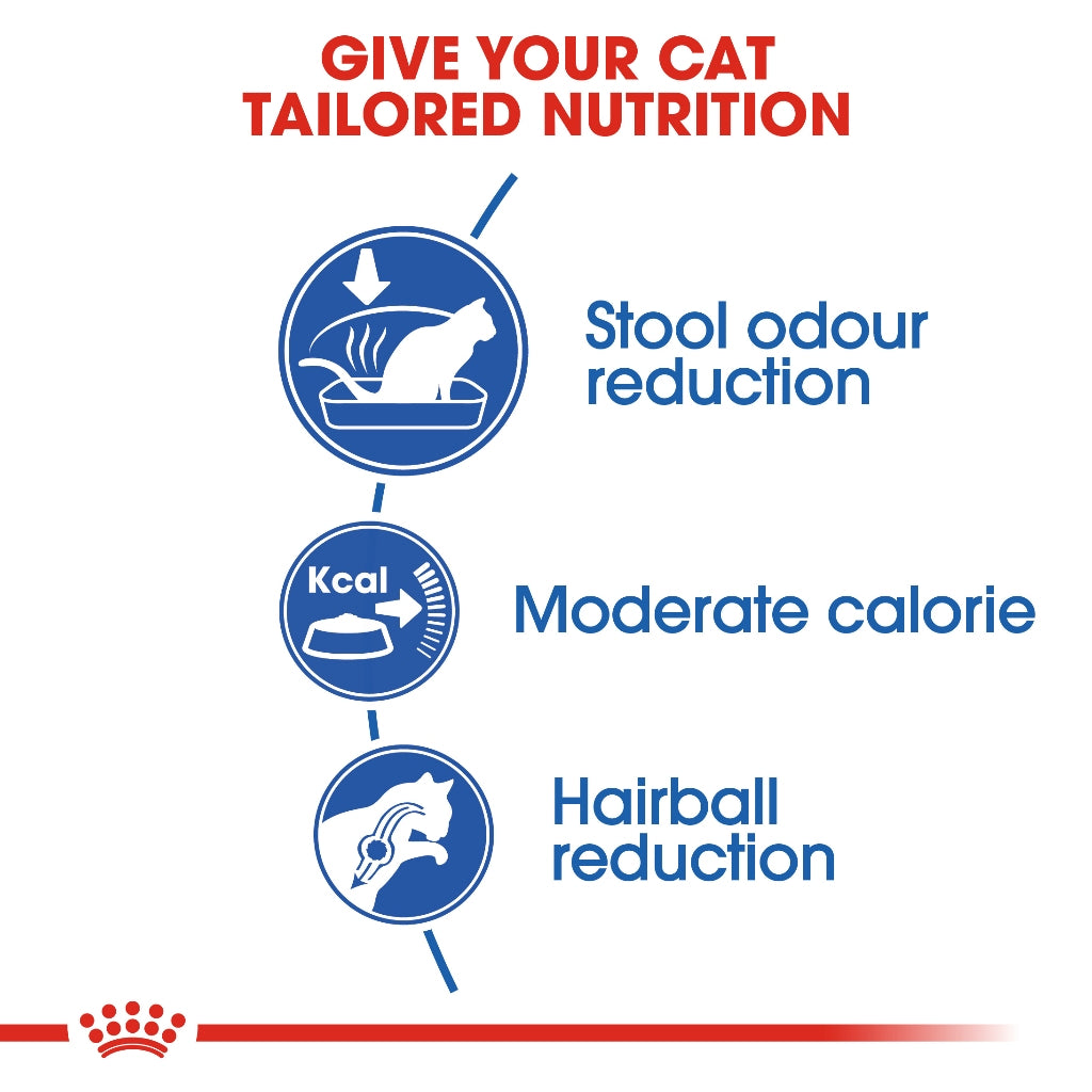 Royal Canin INDOOR 27
