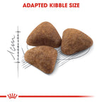 Royal Canin INDOOR 27