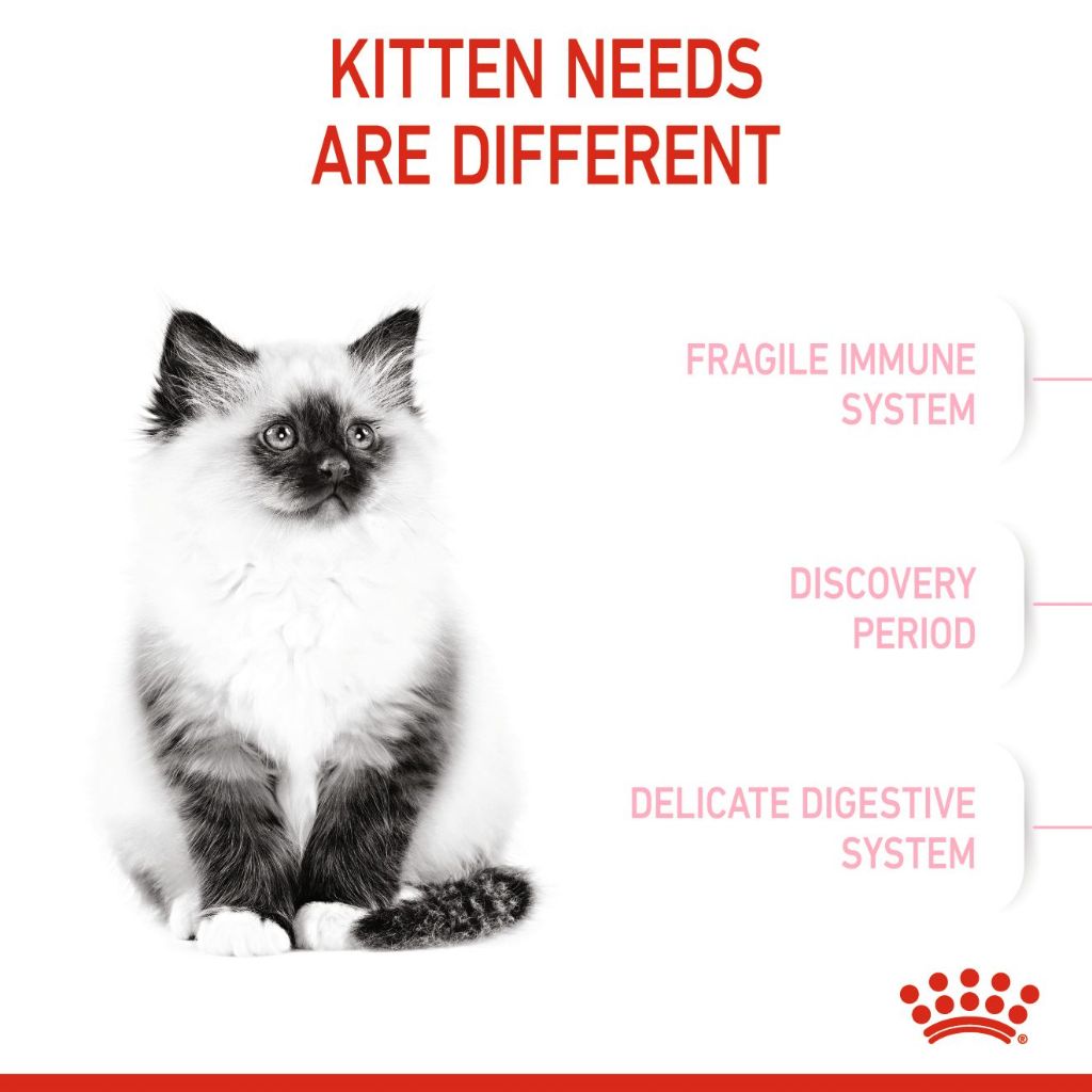 Royal Canin KITTEN