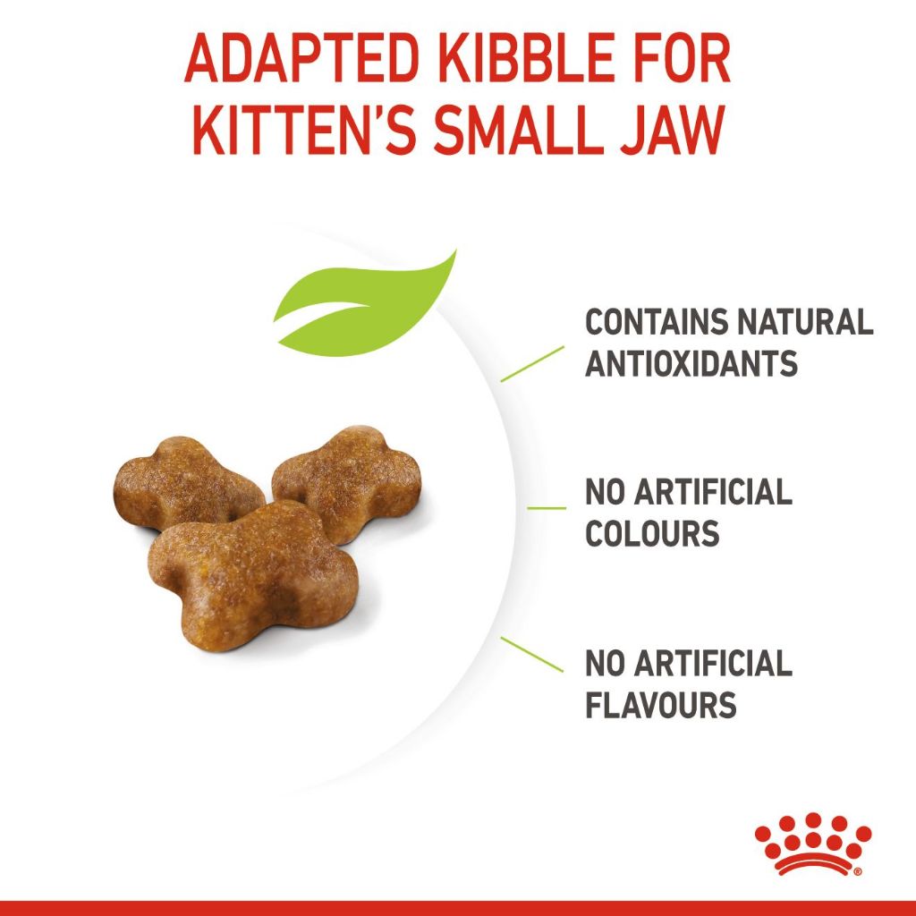 Royal Canin KITTEN