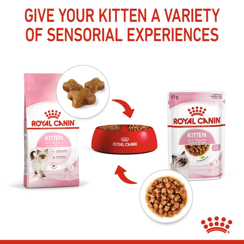Royal Canin WET CAT KITTEN POUCH 85G