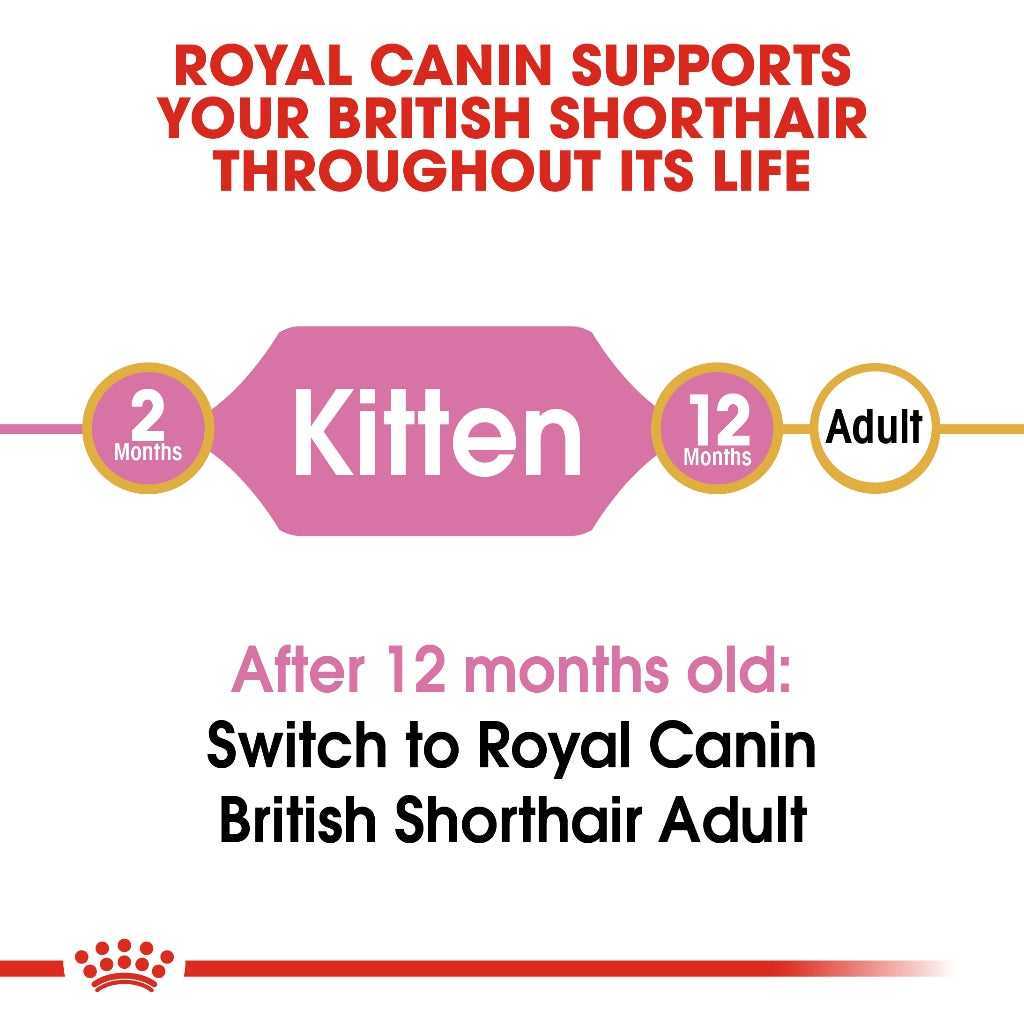 Royal Canin BRITISH SHORT HAIR KITTEN 2KG