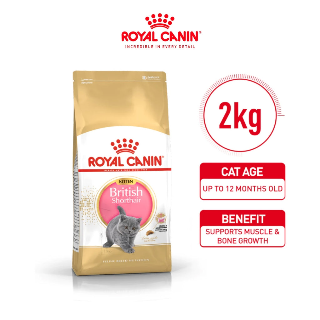Royal Canin BRITISH SHORT HAIR KITTEN 2KG