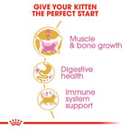 Royal Canin BRITISH SHORT HAIR KITTEN 2KG