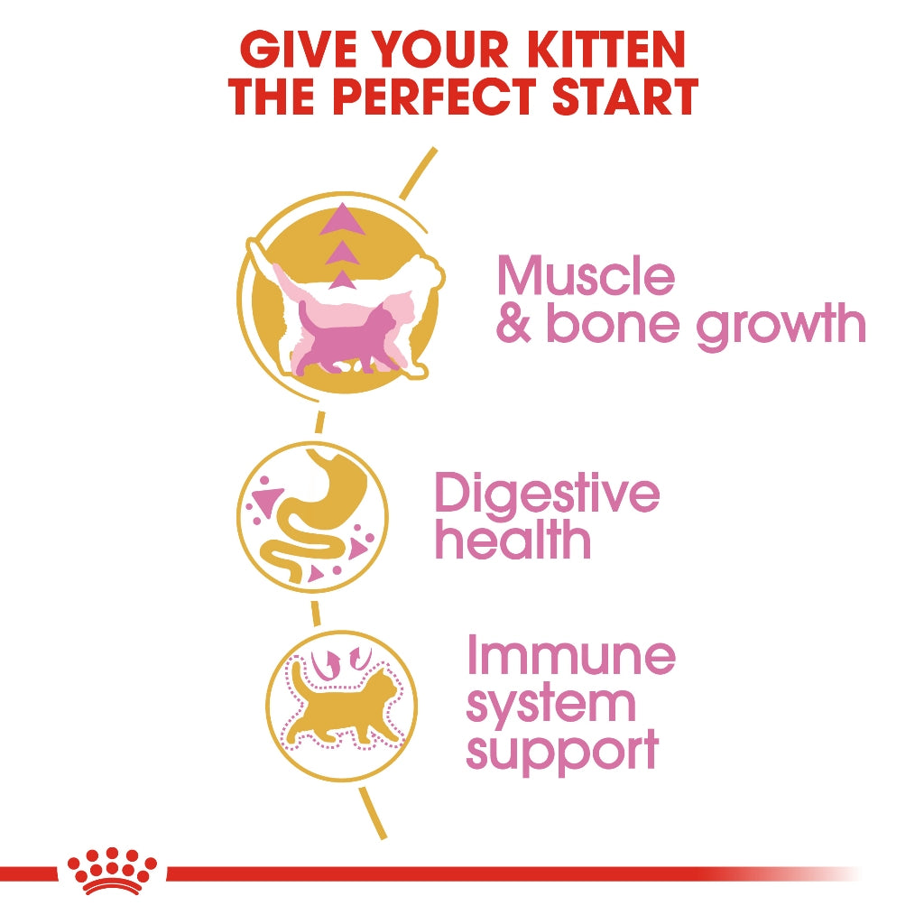 Royal Canin BRITISH SHORT HAIR KITTEN 2KG