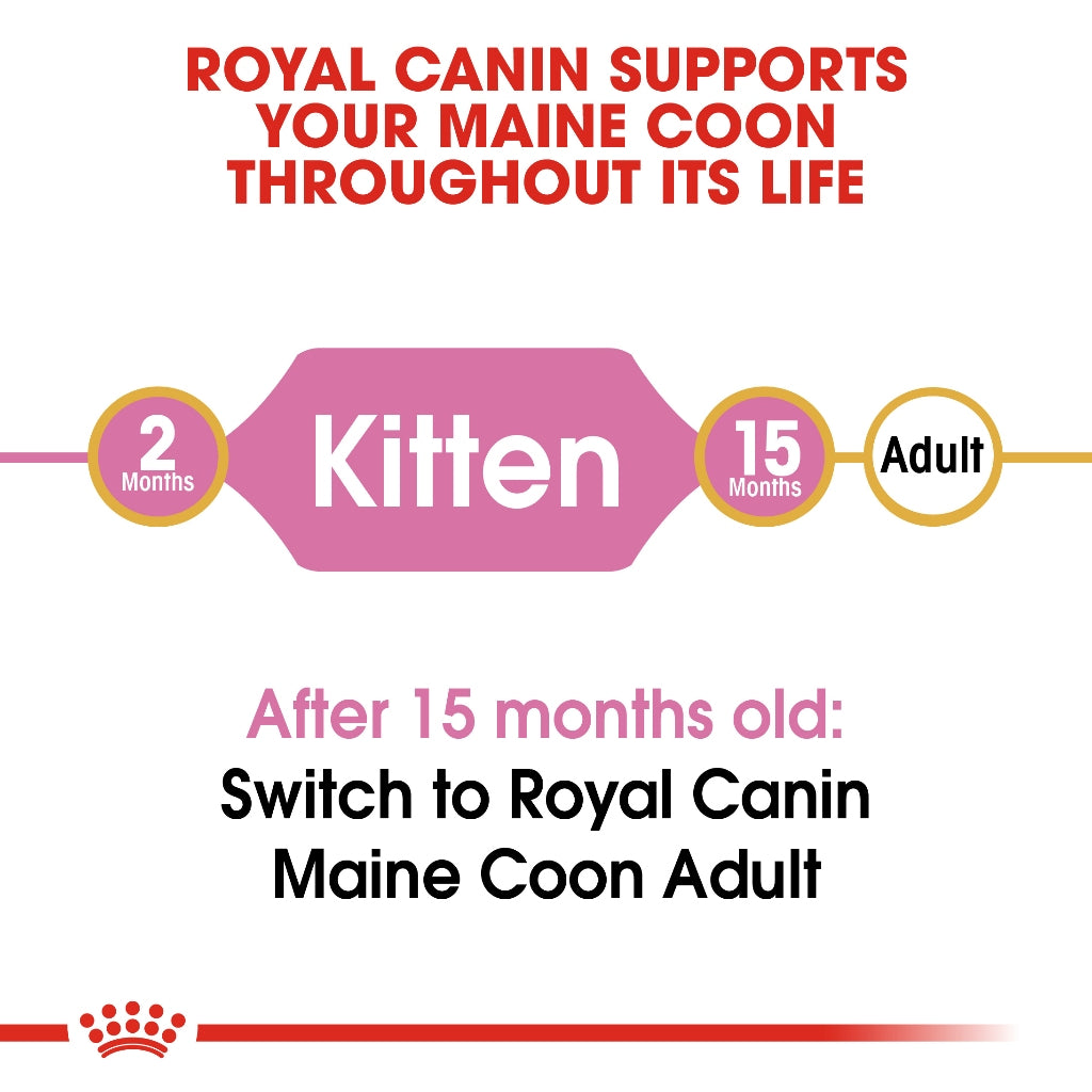 Royal Canin MAINECOON KITTEN